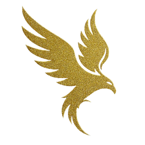 Phoenix Finserv